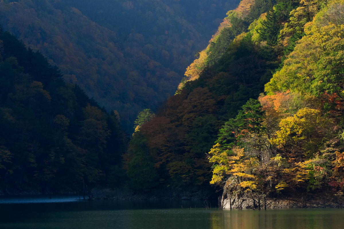 水殿ダムの紅葉