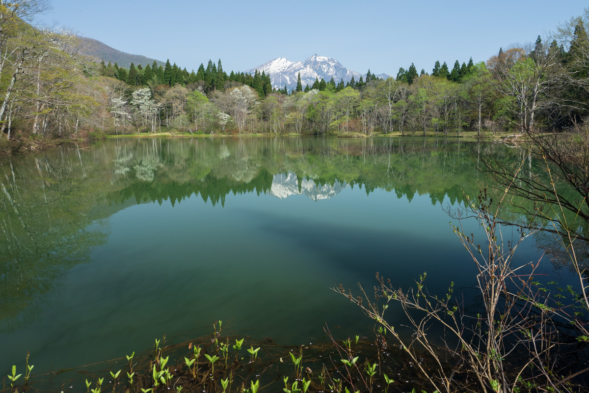 御鹿池と妙高山