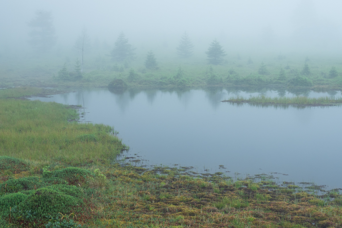 池の平湿原の鏡池