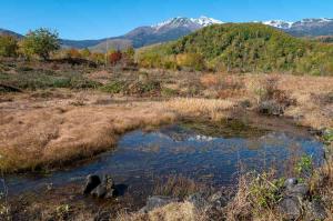 「偲ぶの池」の見どころと地図 「偲ぶの池」の見どころと地図