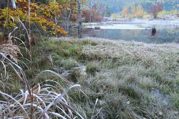 紅葉のころのオソメ池のほとり