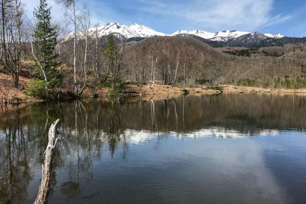 まいめの池と乗鞍岳。 まいめの池の一番奥(南東)からの風景です。