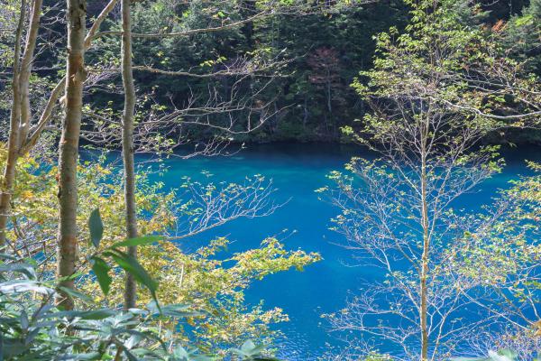 木の間から見える湖面