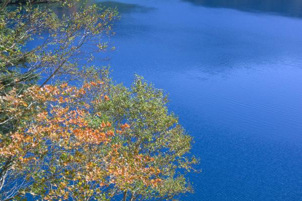 紅葉と大沼池