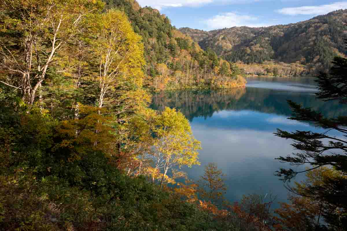 大沼池の紅葉(10月中旬 午後3時ごろ)