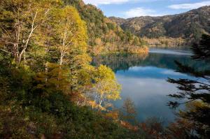志賀高原の大沼池の紅葉