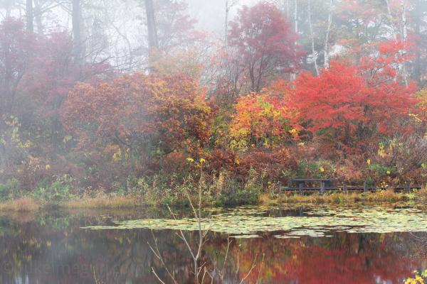 一沼の紅葉
