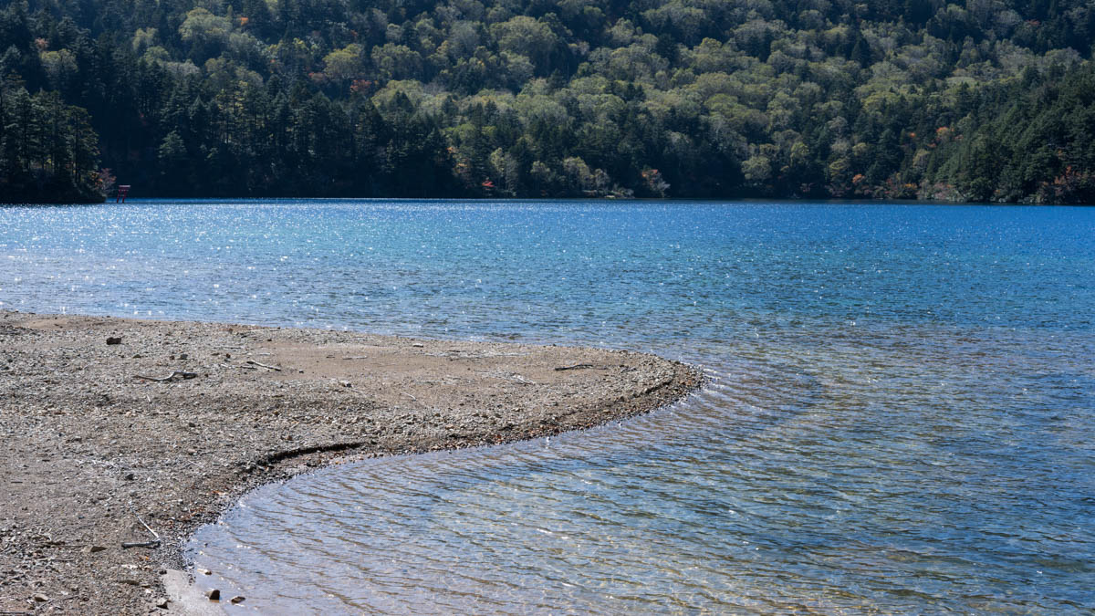 志賀高原の大沼池アクセスマップ(大沼林道)