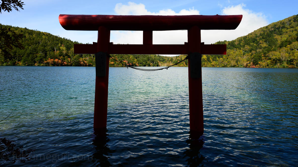 大沼池の鳥居(10月中旬11時ごろ)