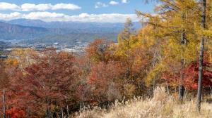 展望デッキからカラマツやもみじの紅葉