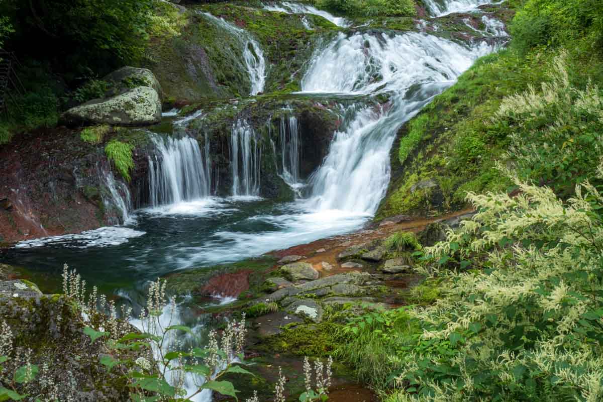 おしどり隠しの滝(8月中旬)
