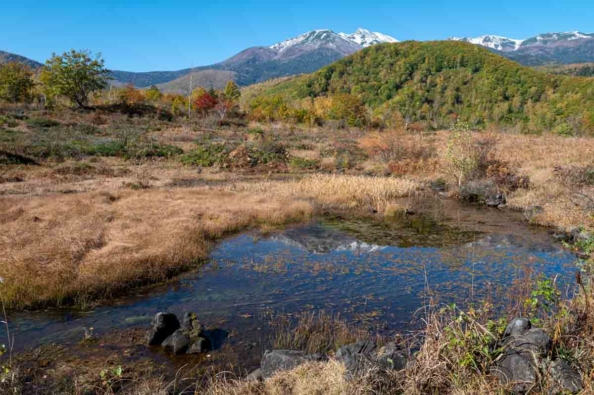 偲ぶの池(10月下旬)
