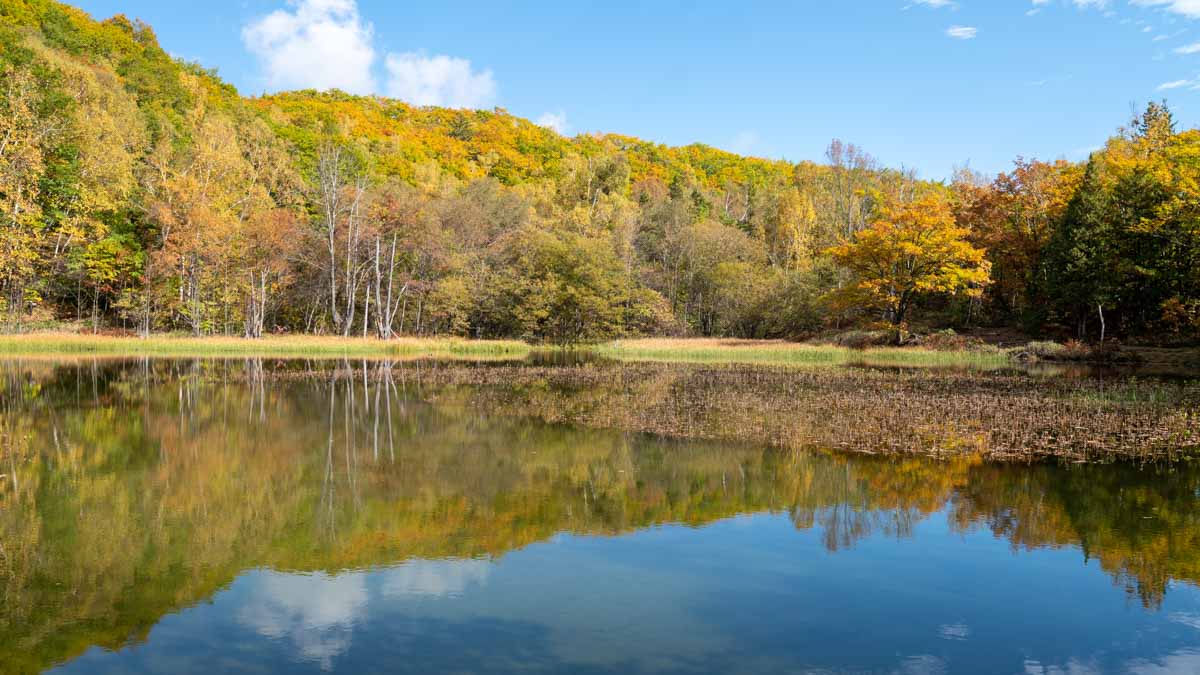 あざみ池(10月中旬)
