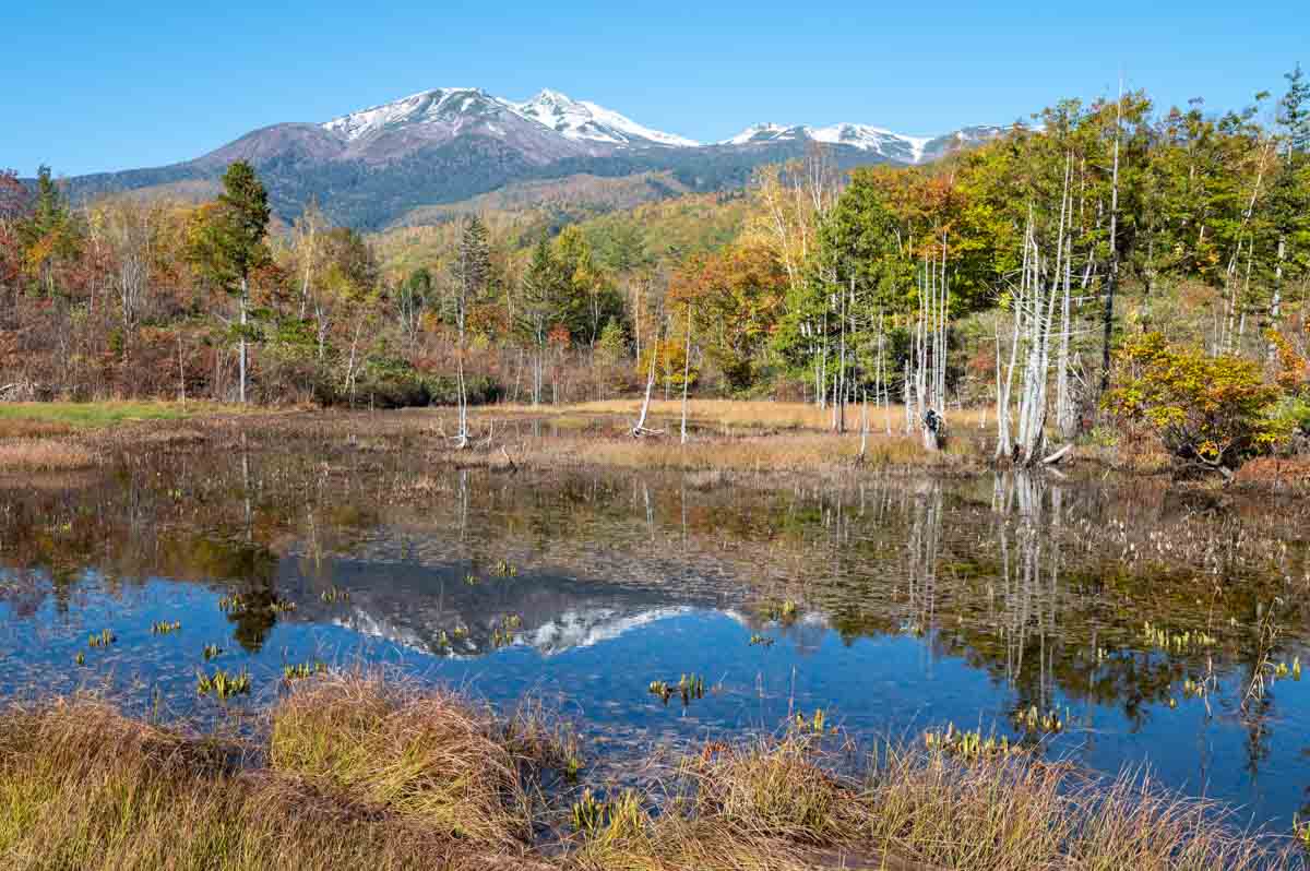 どじょう池(10月中旬)
