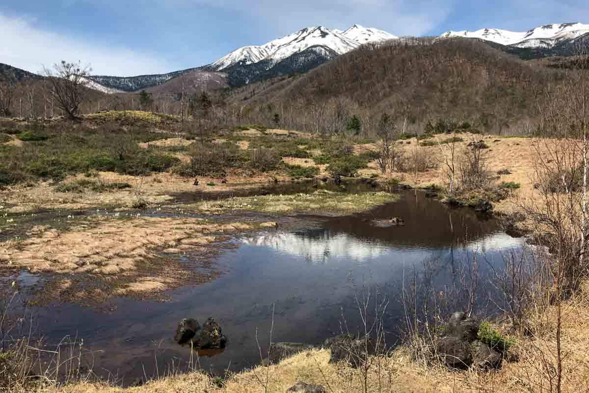 偲ぶの池と乗鞍岳(2024年4月26日)