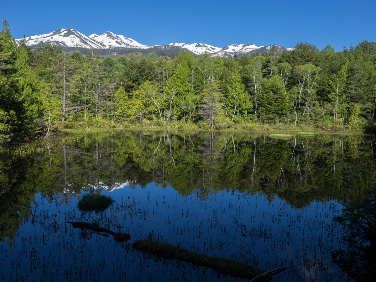 牛留池(東屋からの眺め)