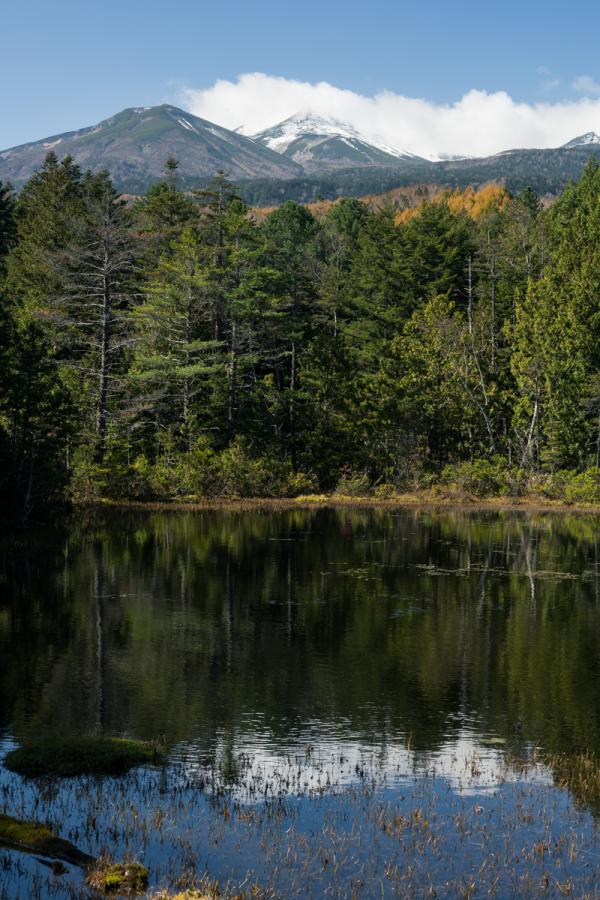 レンズは50mm(フルサイズ換算)