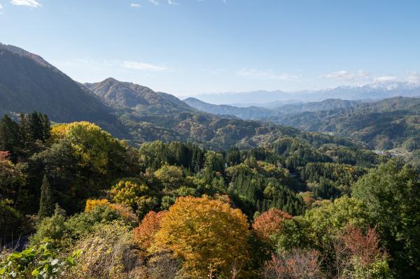 大望峠展望台からの風景