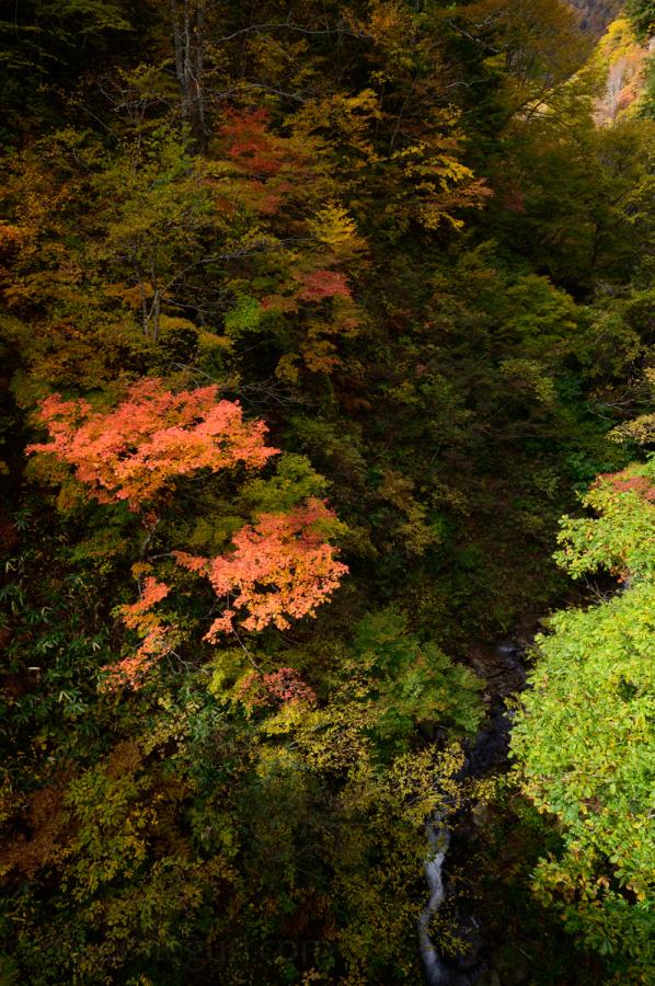 奥裾花渓谷の紅葉
