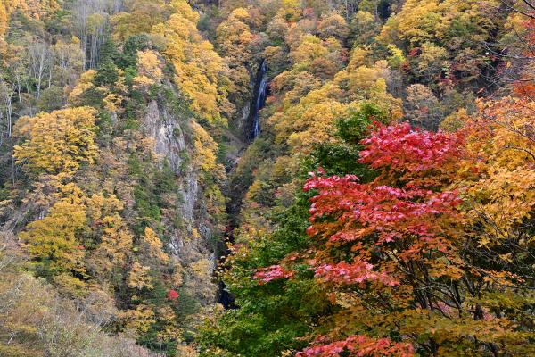 八滝の紅葉