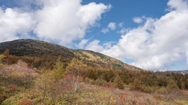 湯の丸高原  つつじ平の風景
