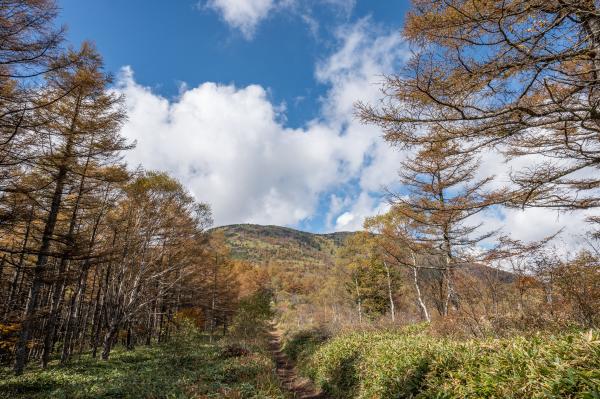 湯の丸高原  つつじ平のトレッキングコースから湯の丸山を望む