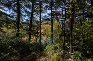 分岐の道標