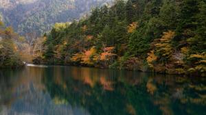 水鏡に映る紅葉