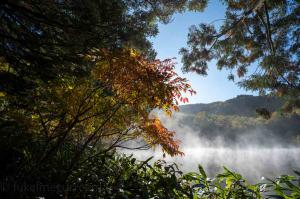 笹と紅葉の間から木戸池
