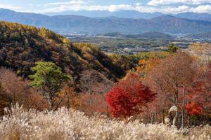 展望デッキからもみじと横谷渓谷の山肌の紅葉