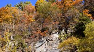 横谷温泉旅館を過ぎたあたりの崖の上部