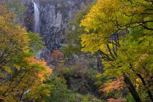 紅葉と不動滝
