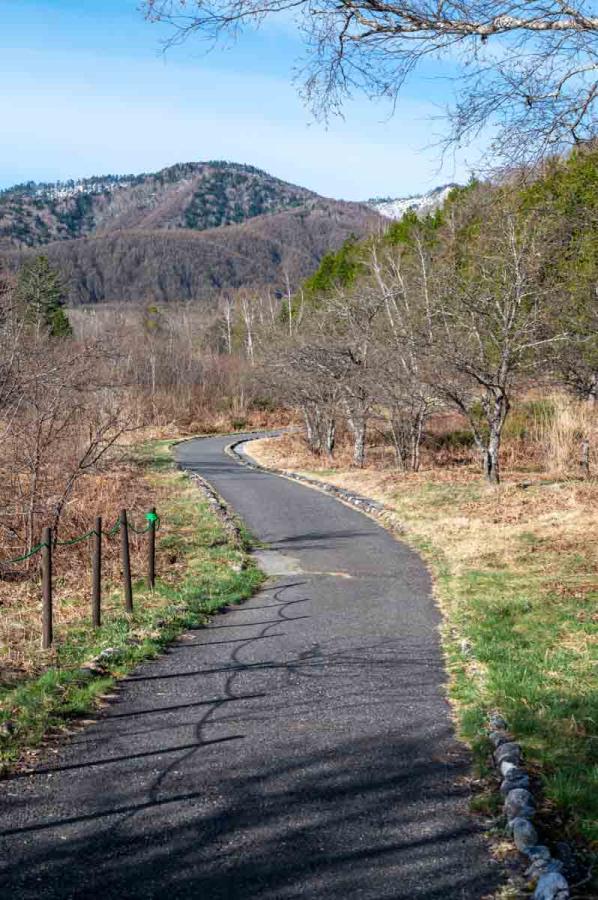 「小梨の径」の舗装された遊歩道