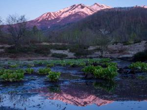 偲ぶの池と朝焼けの乗鞍岳(5月中旬)