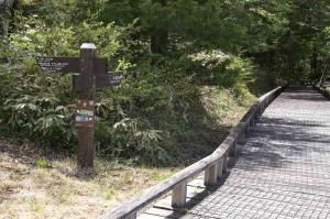 遊歩道入口の道標と牛留池に通じる木道
