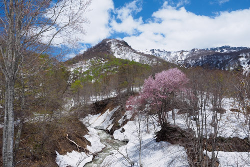 雨飾山登山口