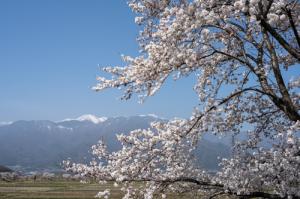 三峰川サイクリングジョギングロード