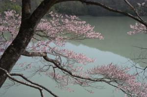 高遠湖