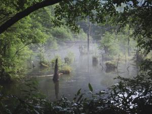 河童橋から明神