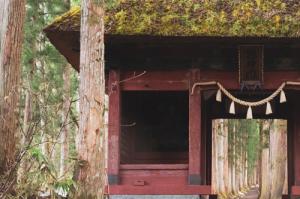 戸隠神社奥社の杉並木