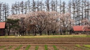 長野牧場