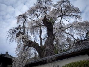 福王寺