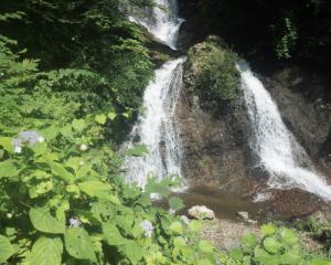 唐沢の滝