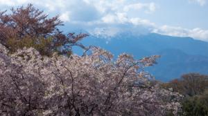 大草城址公園