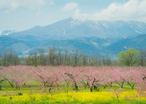 千曲川河川敷