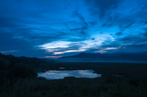 八島ヶ原湿原